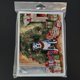 thumbnail image 3 of Tarjetas de Felicitación Caroline's Treasures Pit Bull – Pack de 8, 3 of 3