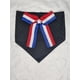 thumbnail image 1 of Bandana mascota fiestas patrias 2 talla L, 1 of 2