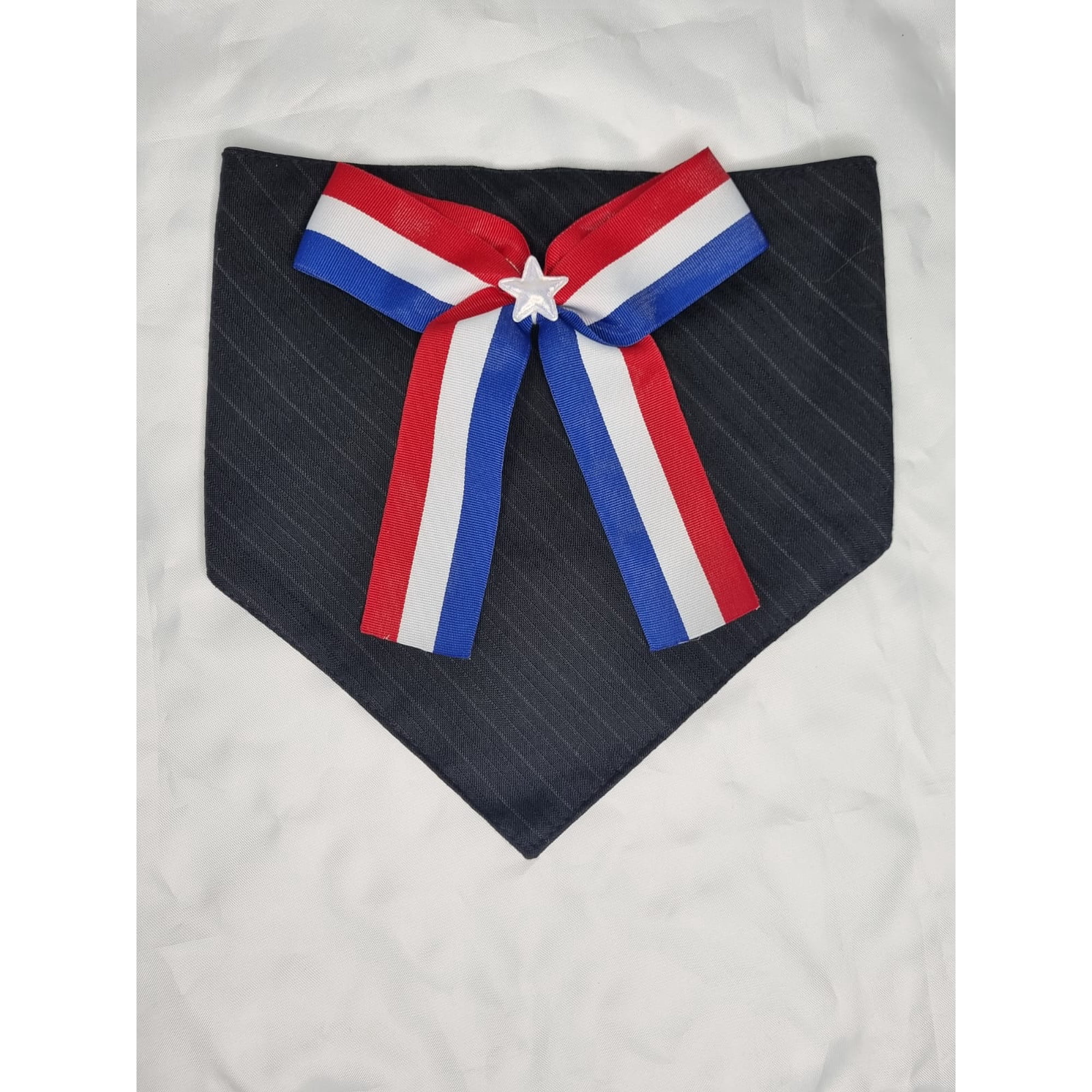 Bandana mascota fiestas patrias 2 talla L