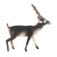 thumbnail image 5 of Modelo De Animal Figura De Juguete Figuras De Animales Realistas Decoración Del Hogar 7.8x2.1x8.2cm, 5 of 5