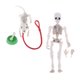 thumbnail image 2 of Miniaturas De Casa De Mu?ecas, Figura De Esqueleto, Juego De Cuencos Para Perros Y Mu?ecas, Accesorios De Halloween, 2 of 5