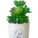thumbnail image 3 of Planta Decorativa Good To Be Home Maceta Blanca, 3 of 4