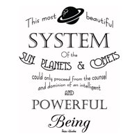 Rienda Libre Graphics - Decomural Powerful Being Isaac Newton Ws-44094