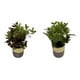 thumbnail image 2 of Set 2 Plantas Artificiales Decorativas Macetero Bicolor Jhn, 2 of 3