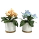thumbnail image 2 of Primavera artificial, 2 of 8