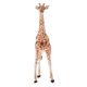 thumbnail image 2 of Simulación Animal Modelo Juguetes Educativos Para Ni?os Giraffe PL127-413, 2 of 5