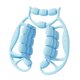 thumbnail image 2 of Rodillo Muscular De Mano Para Piernas, Herramienta De Masaje Con 24 Ruedas Para Cintura, Color Azul, 2 of 5