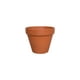 thumbnail image 1 of Macetero Kony Terracota 8 cm, 1 of 6