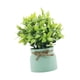 thumbnail image 5 of Pequeñas Plantas Falsas Decorativas Bonsái Artificiales Para Oficina Baño Granja Verde, 5 of 5