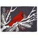 thumbnail image 1 of Alfombra Jellybean 51 x 76 cm para interiores y exteriores, color gris cardenal, 1 of 3