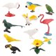 thumbnail image 4 of Modelo De Mini Pájaro Para Ni?os, Decoración De Loro Y Colibrí, Modelo De Mundo Sólido Para Ni?os, 4 of 5