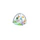 thumbnail image 1 of Gimnasios y colchonetas de actividades Interactivo Multicolor, 1 of 1