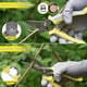 thumbnail image 2 of Set Herramientas Jardan 10 Piezas Acero Inoxidable Ergonamico, 2 of 2