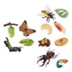 thumbnail image 3 of Juguete De Aprendizaje De Educación Infantil De Crecimiento De Insectos De Naturaleza Realista, 3 of 5