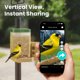 thumbnail image 5 of Comedero Inteligente para Pájaros Birdfy Rookie con Cámara y Visión Nocturna, 5 of 9