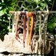 thumbnail image 2 of Cintas para manualidades LaRibbons, 10 rollos, 45 yardas, 2 of 3