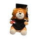 thumbnail image 3 of Graduation Lion Doll Crafting Animal Relleno Para Amigos Favores De Fiesta De Dormitorio Negro, 3 of 5