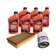 thumbnail image 1 of Kit Mantención Aceite Aire Ford Edge 3.5 Motorcraft 2009, 1 of 2