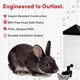 thumbnail image 4 of Bebedero para Animales RentACoop 950 ml Autorrelleno, 4 of 7