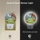thumbnail image 2 of Luz nocturna EKOBLA Dinosaurio con sensor de luz, enchufe, 0,5 W, 2 of 9