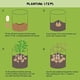 thumbnail image 1 of Bolsa Cultivo Homyhoo 10 Galones 4 Pack con Ventana Reforzada, 1 of 3