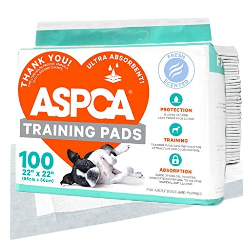 Almohadillas de entrenamiento ASPCA AS62930 para perros, paquete de 100, color gris