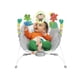 thumbnail image 3 of Asiento tipo hamaca para bebés Bright Starts Playful Paradise de 0 a 6 m, 3 of 9