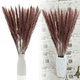 thumbnail image 1 of 30 piezas de flores secas naturales de hierba de la pampa seca, planta de junco con caja, flores reales, ramos de flores románticas para bodas, sabrosas y duraderas para decoración del hogar DIY, a ju, 1 of 5