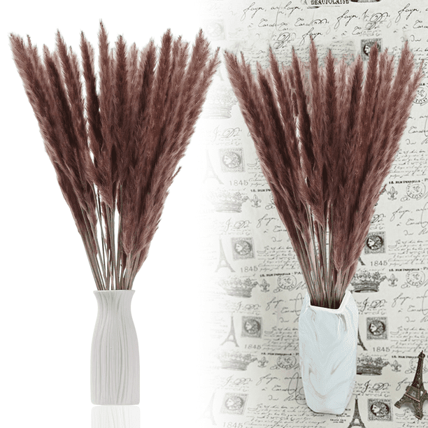 30 piezas de flores secas naturales de hierba de la pampa seca, planta de junco con caja, flores reales, ramos de flores románticas para bodas, sabrosas y duraderas para decoración del hogar DIY, a ju