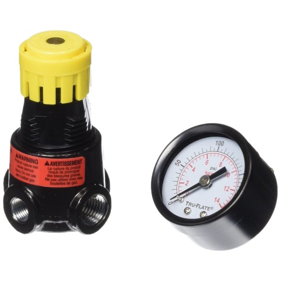 Mini regulador Tru-Flate 24-444 de Auto Accessory Plews