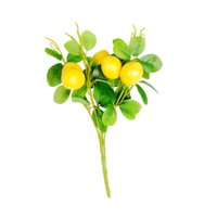 Bothyi - Rama De Limón Artificial De Color Amarillo Limón Y Hojas Verdes Para Patio, Hogar, Cocina, Estilo C