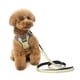 thumbnail image 2 of Correa Fuzzyard para perros PIÑA COLADA 1,4 mt, 2 of 2