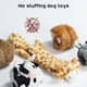 thumbnail image 2 of Peluche arrugado Dog Squeaky Toys Nocciola para perros, 5 unidades, 2 of 7