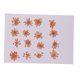 thumbnail image 2 of 16 Piezas De Flores Prensadas Secas DIY En Relieve Material De La Caja Del Teléfono Del Marco De La Foto, 2 of 5