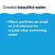thumbnail image 4 of D.E. Filter Aid HTH 67121 para el cuidado de piscinas, 4,5 kg, 4 of 7