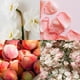 thumbnail image 2 of Perfume Juicy Couture Fallin' For Juicy de larga duración, 100 ml, 2 of 3