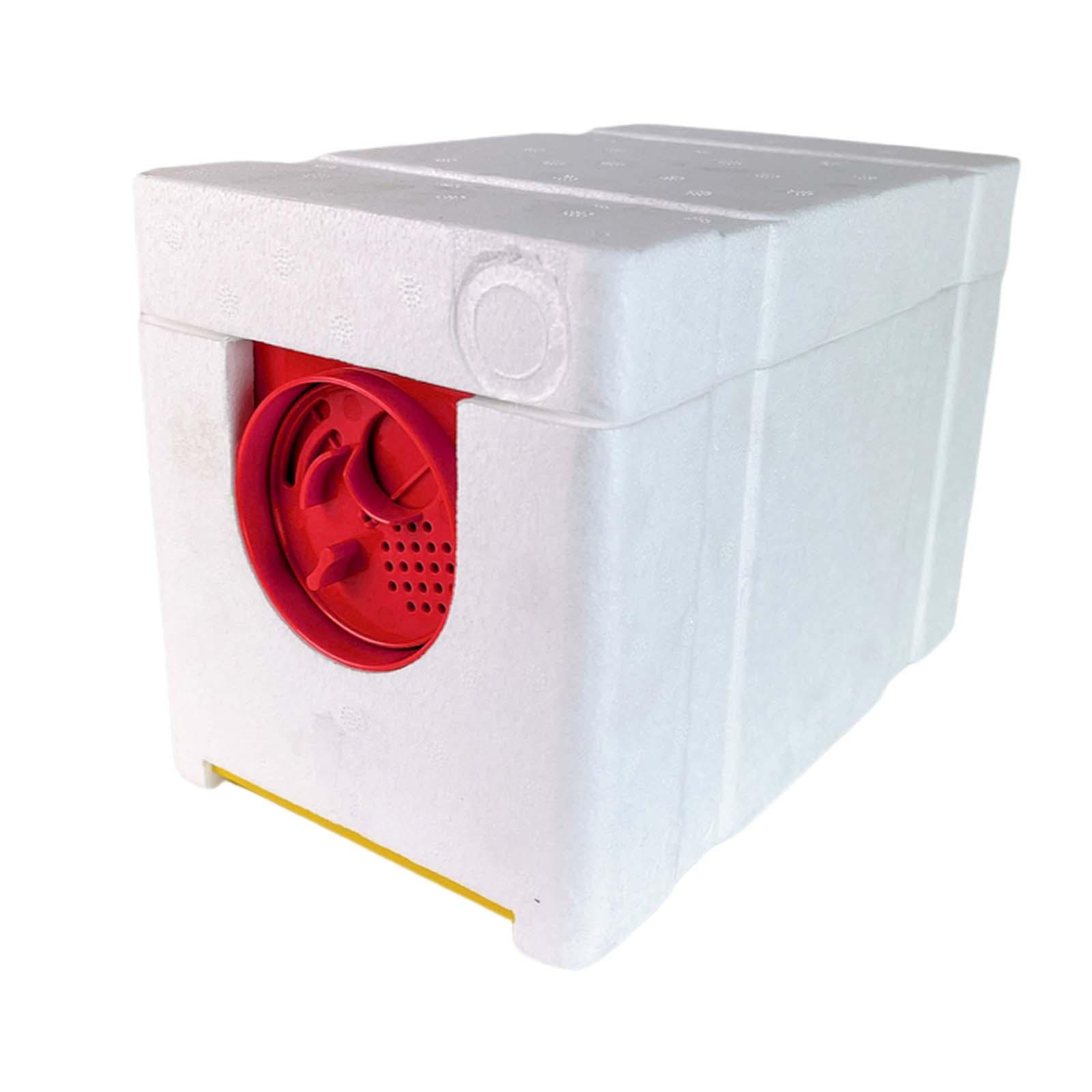 Magideal - Caja De Cría De Reina, Colmena De Apareamiento Apidea, Herramienta De Apicultura Para Apicultor, Mini Caja Nuc De Apareamiento, Caja De Cría De Puerta Roja