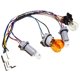 thumbnail image 1 of Arnés de cableado y socket para lámpara de luz trasera para Hyundai Sonata, 1 of 7