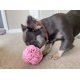 thumbnail image 3 of Bola Rompecabezas para Perro Glory To Dog Rosa Talla Extra Pequeña, 3 of 6
