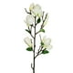 thumbnail image 2 of Magnolia Bud Stem Crema 84cm Con Acabado Natural, 2 of 3