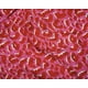 thumbnail image 2 of Pareo Toalla Pinkred, 2 of 3