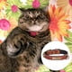 thumbnail image 3 of Collar de cuero para gatos con hebilla ajustable, collar para mascotas pequeñas para gatitos, 3 of 5