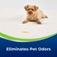 thumbnail image 2 of Eliminador de manchas y olores BISSELL Woolite® Advantage Pet 3327, 2 of 3