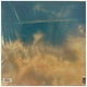 thumbnail image 2 of 30 Seconds To Mars - Its The End Of The World But Its A Beautiful Day (orange Vinyl) | Vinilo, 2 of 7