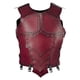 thumbnail image 4 of Chaleco De Equitación Ecuestre Para Adultos Protector De Cuerpo Para Eventos De Protección Rojo, 4 of 5