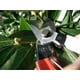 thumbnail image 2 of Tijeras de podar Okatsune 101 Bypass de 7 pulgadas con capacidad de corte de 0,75 pulgadas, 2 of 9