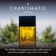 thumbnail image 3 of Perfume Pour Homme Eau De Toilette 50 Ml Para Hombre, 3 of 3