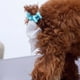 thumbnail image 3 of Kit Porta Bolsas Para Aseo De Mascotas Perros Paseo Lau, 3 of 3