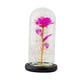 thumbnail image 5 of Flor De Rosa Con Cubierta De Vidrio Lámpara De Noche Para Boda Hogar Dormitorio Rosa Roja, 5 of 5