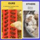 thumbnail image 4 of Kit inicial Pawaboo Chick (verde, rojo y madera), 4 of 7